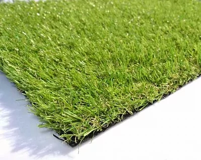 Autumm grass